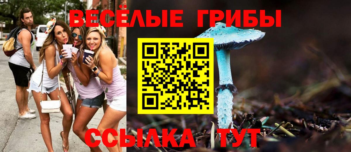 Галлюциногенные грибы прущие грибы  Вход с VPN  Ангарск 